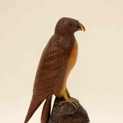 Kite Hawk Wood Carving