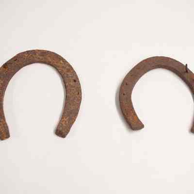 Horseshoes