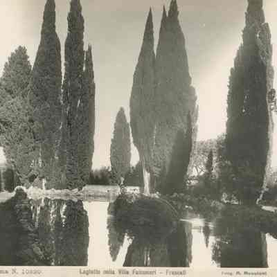 Photograph of Pond