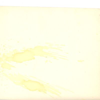 NU 2022.275.24 (Back)