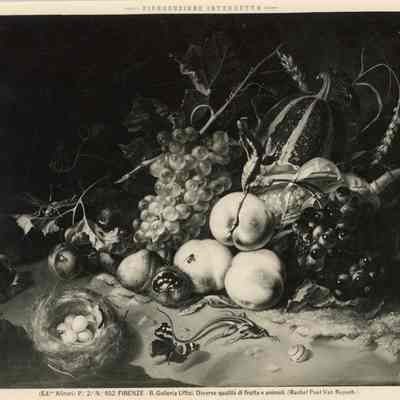 Photograph of Painting, "Fruit and Insects"