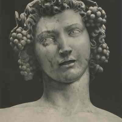 Photograph of Statue, "Bacchus"