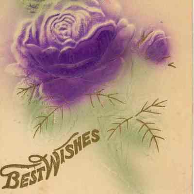 Best Wishes Postcard