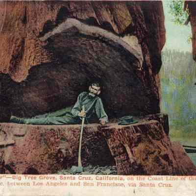 Woodchopper Postcard