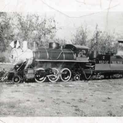 Wildcat Railroad Train