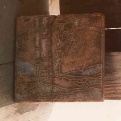 Young Eucalyptus Tile