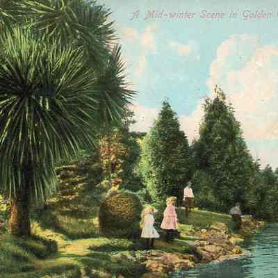 Golden Gate Park Postcard