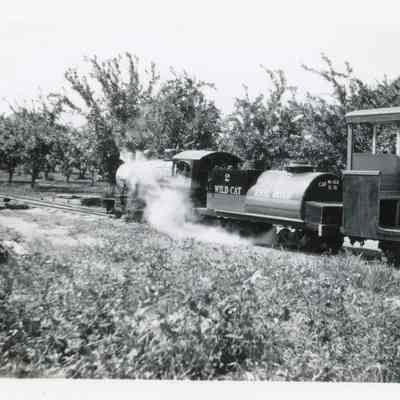 Wildcat Railroad Train