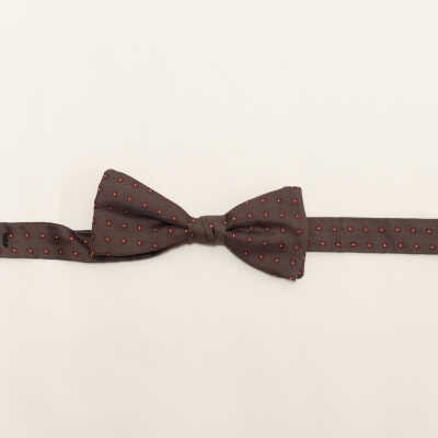 Bow Tie