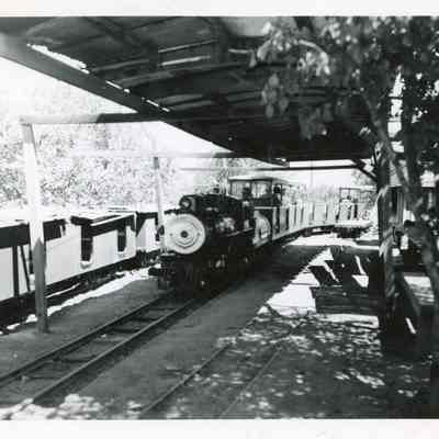 Wildcat Railroad Train