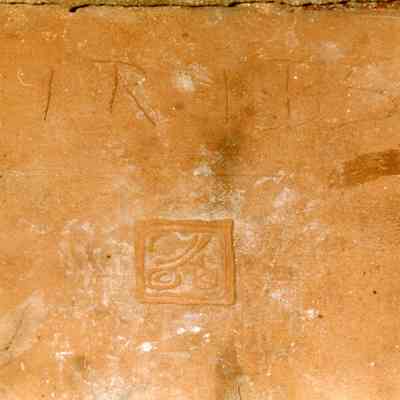Cathedral Oaks Tile