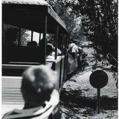 Wildcat Train