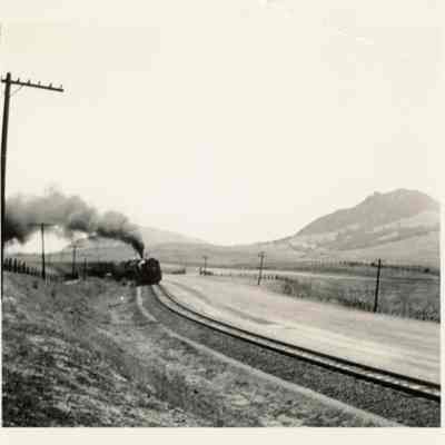 Train in Landscape