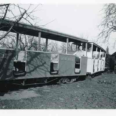 Wildcat Railroad Train