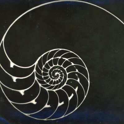 Spiral