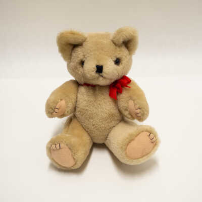 Teddy Bear