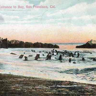 San Francisco Postcard