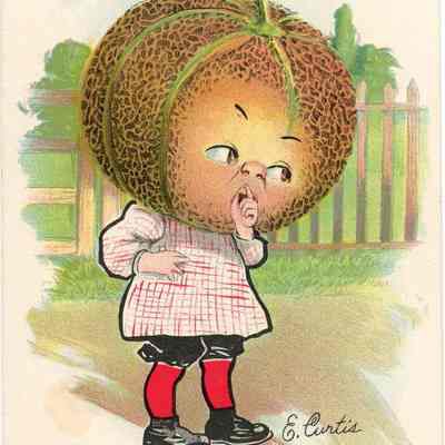 Garden Patch Postcard