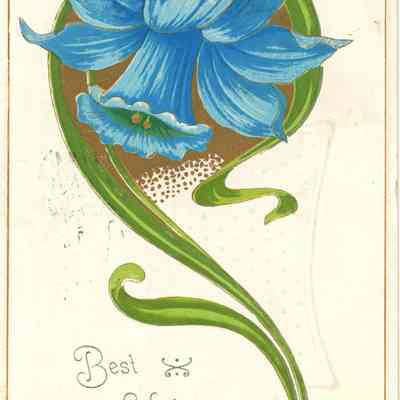 Best Wishes Postcard