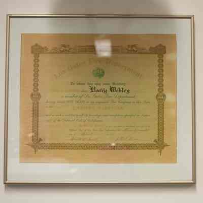 LGFD Certificate