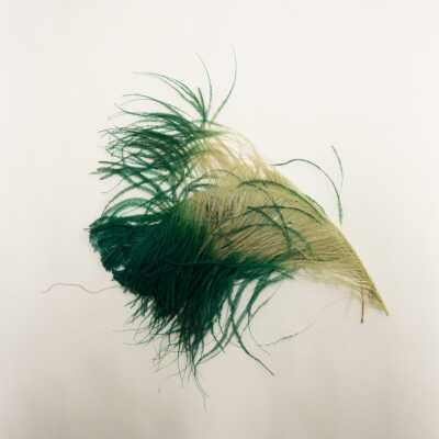 Feather Decoration