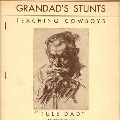 Grandad's Stunts