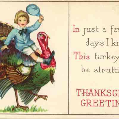 Thanksgiving Postcard