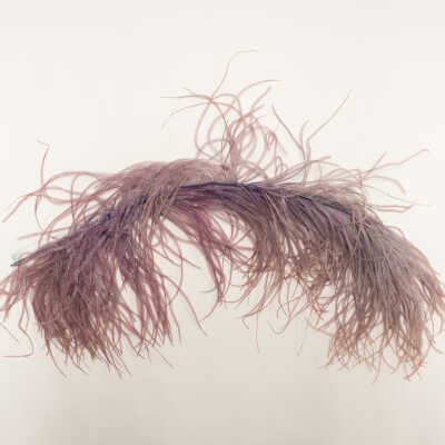 Feather Decoration