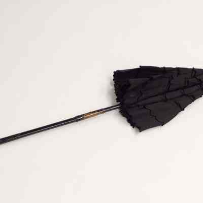 Black Parasol