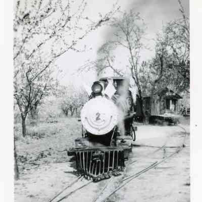 Wildcat Railroad Steam Engine