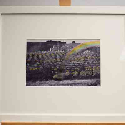 Rainbow on Novitiate Hill