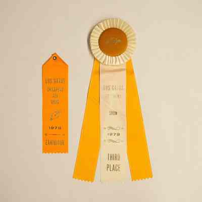 1978 Children's Art Show Ribbons
