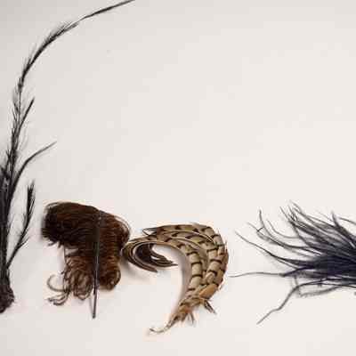 Feather Pieces