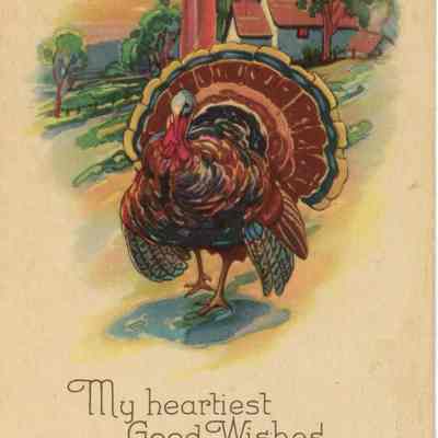 Thanksgiving Postcard