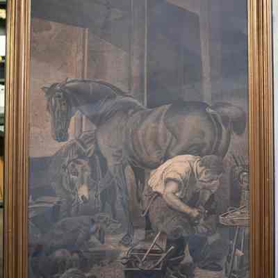 Shoeing Horse