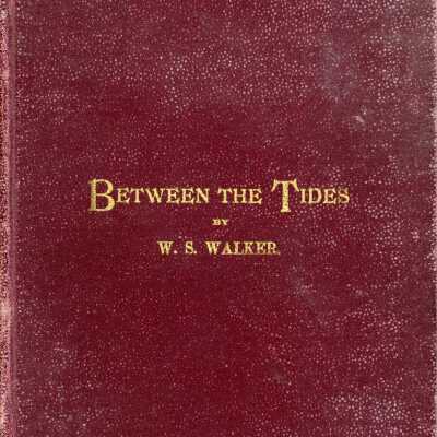 Between the Tides
