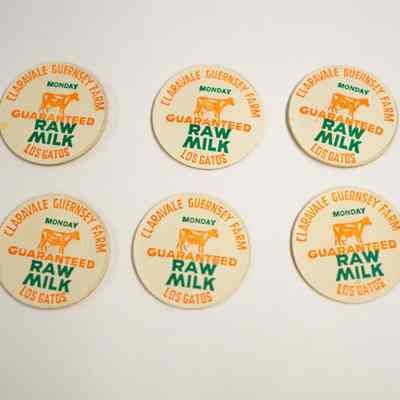 Milk Bottle Caps