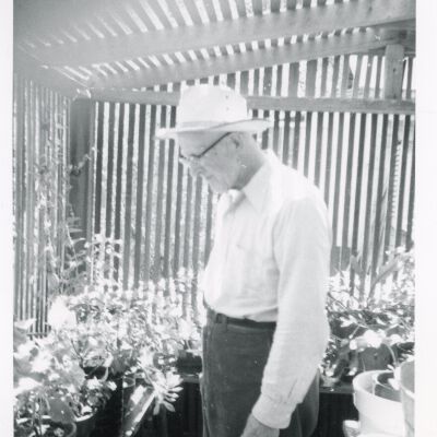 George Dennison