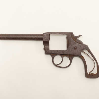 Revolver and Holster