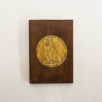 Plaque