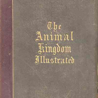 The Animal Kingdom Illustrated, Vol. 1