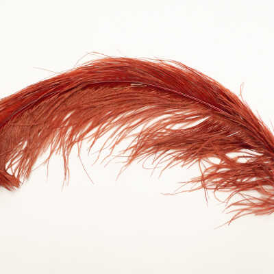 Feather
