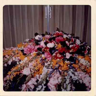 Photograph of Flowers