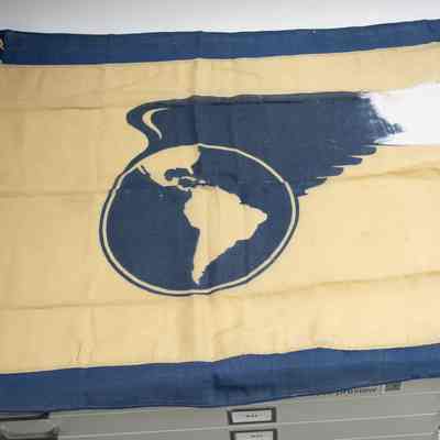 Pan-American Flag