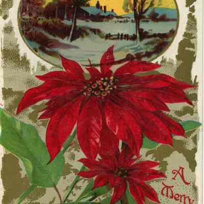 Christmas Postcard