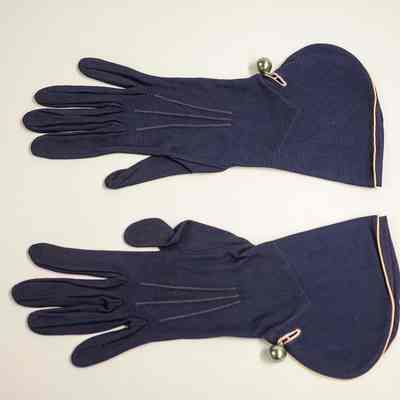 Pair of Blue Gloves