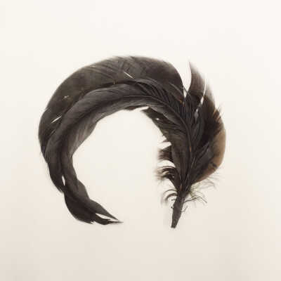 Feather Decoration