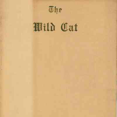 The Wildcat, 1914
