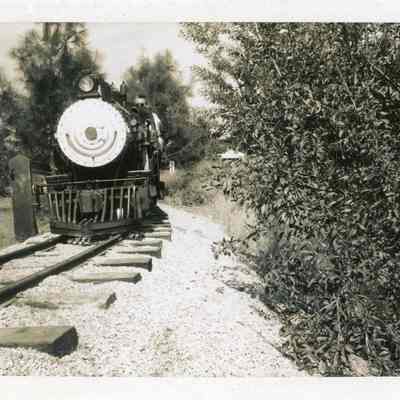 Wildcat Railroad Steam Engine