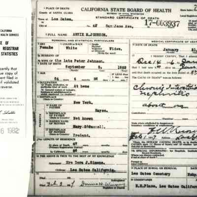 Annie Johnson Death Certificate, Certified Copy